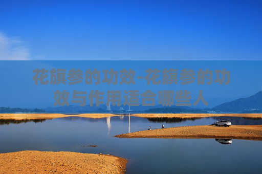 花旗参的功效-花旗参的功效与作用适合哪些人
