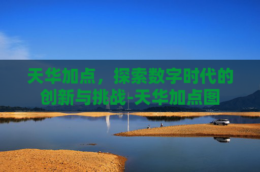 天华加点，探索数字时代的创新与挑战-天华加点图