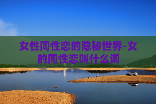 女性同性恋的隐秘世界-女的同性恋叫什么词