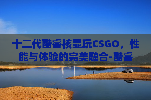 十二代酷睿核显玩CSGO，性能与体验的完美融合-酷睿12代cpu核显