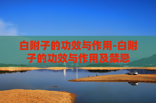 白附子的功效与作用-白附子的功效与作用及禁忌
