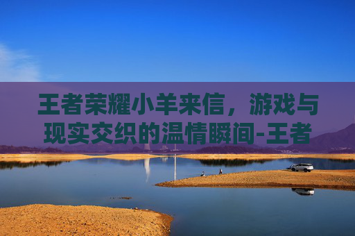 王者荣耀小羊来信，游戏与现实交织的温情瞬间-王者小羊的个人主页