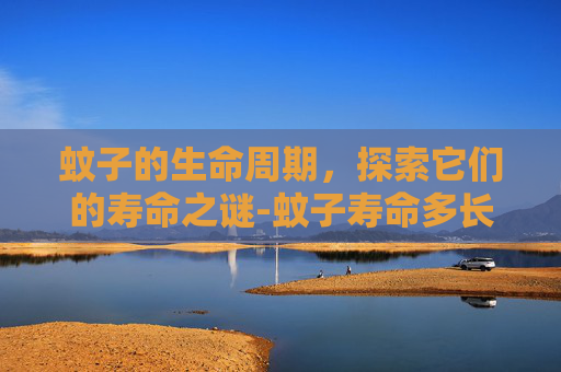 蚊子的生命周期，探索它们的寿命之谜-蚊子寿命多长?