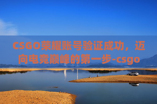 CSGO荣耀账号验证成功，迈向电竞巅峰的第一步-csgo荣耀账号验证成功后怎么办