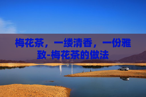 梅花茶，一缕清香，一份雅致-梅花茶的做法