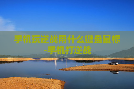 手机玩逆战用什么键盘鼠标-手机打逆战
