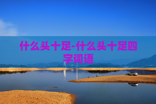 什么头十足-什么头十足四字词语