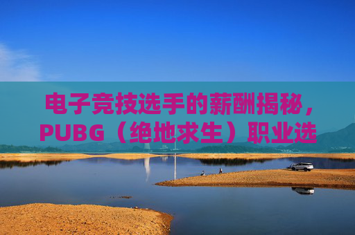 电子竞技选手的薪酬揭秘，PUBG（绝地求生）职业选手的收入分析-绝地求生选手工资