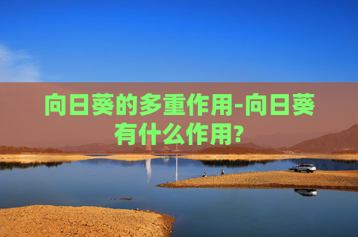 向日葵的多重作用-向日葵有什么作用?