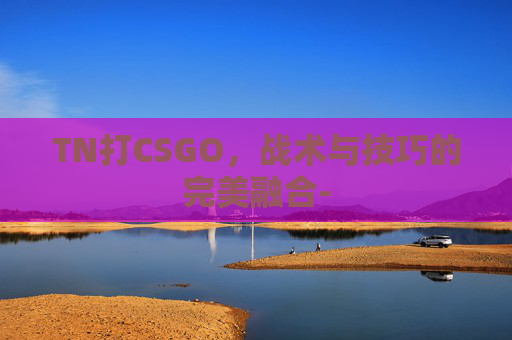 TN打CSGO，战术与技巧的完美融合-