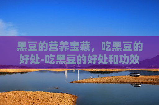 黑豆的营养宝藏，吃黑豆的好处-吃黑豆的好处和功效