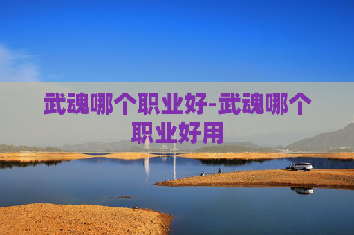 武魂哪个职业好-武魂哪个职业好用