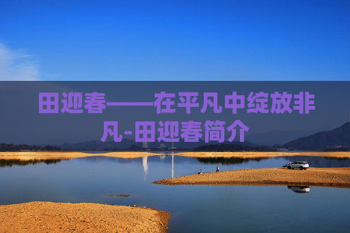 田迎春——在平凡中绽放非凡-田迎春简介