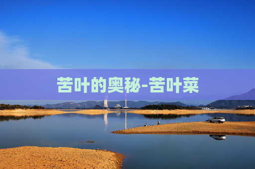 苦叶的奥秘-苦叶菜