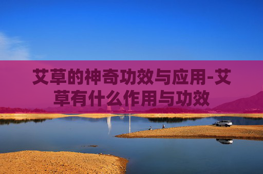 艾草的神奇功效与应用-艾草有什么作用与功效