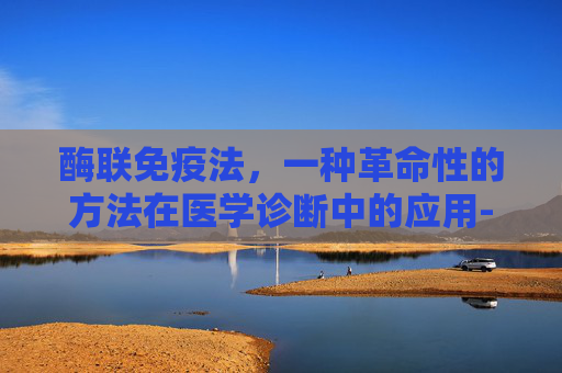 酶联免疫法，一种革命性的方法在医学诊断中的应用-酶联免疫法是什么意思