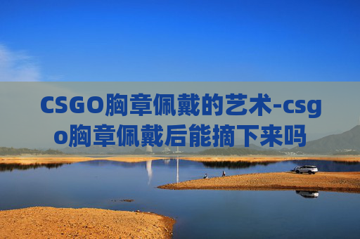 CSGO胸章佩戴的艺术-csgo胸章佩戴后能摘下来吗 CSGO胸章佩戴的艺术-csgo胸章佩戴后能摘下来吗