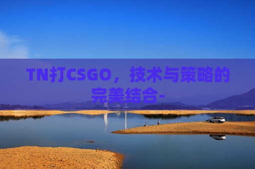 TN打CSGO,技术与策略的完美结合- TN打CSGO,技术与策略的完美结合-