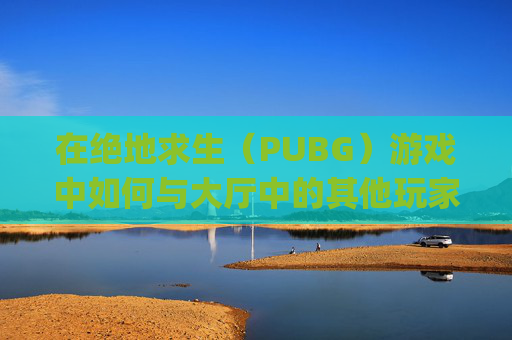 在绝地求生（PUBG）游戏中如何与大厅中的其他玩家交流-pubg怎么在大厅开麦