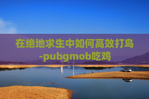 在绝地求生中如何高效打鸟-pubgmob吃鸡 在绝地求生中如何高效打鸟-pubgmob吃鸡
