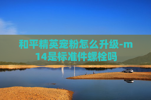 和平精英宠粉怎么升级-m14是标准件螺栓吗