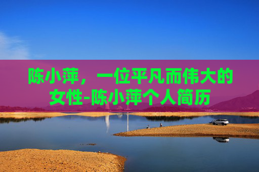 陈小萍，一位平凡而伟大的女性-陈小萍个人简历