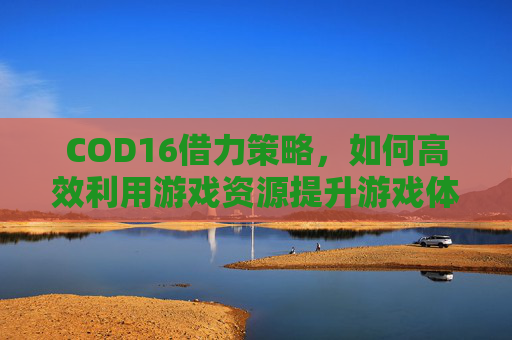 COD16借力策略，如何高效利用游戏资源提升游戏体验-cod16攻略