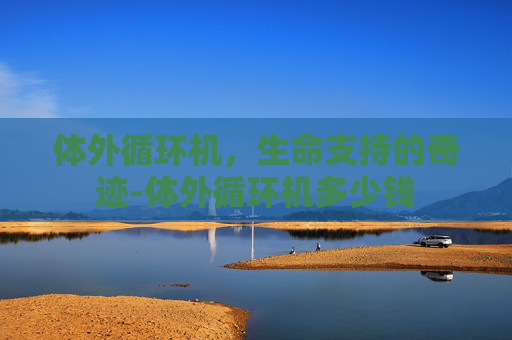 体外循环机，生命支持的奇迹-体外循环机多少钱
