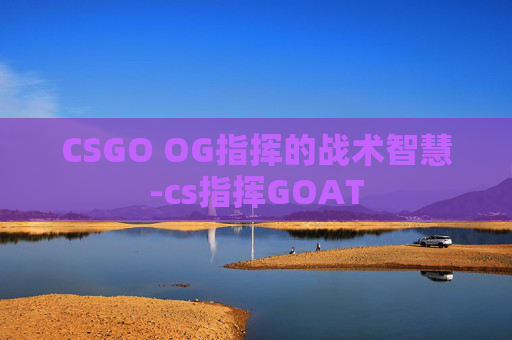 CSGO OG指挥的战术智慧-cs指挥GOAT
