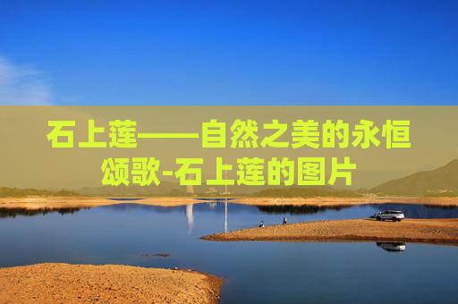 石上莲——自然之美的永恒颂歌-石上莲的图片