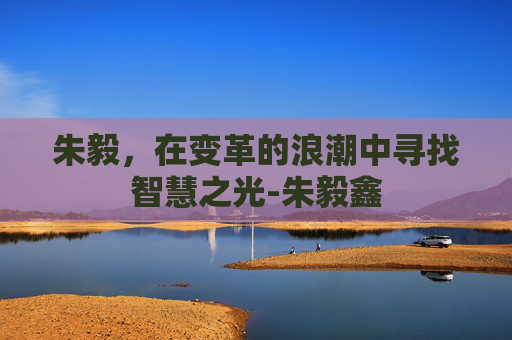 朱毅，在变革的浪潮中寻找智慧之光-朱毅鑫