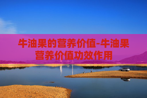 牛油果的营养价值-牛油果营养价值功效作用