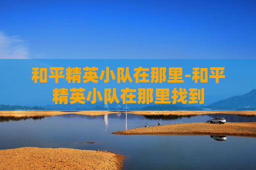 和平精英小队在那里-和平精英小队在那里找到