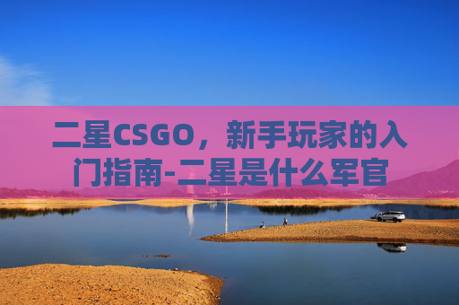 二星CSGO，新手玩家的入门指南-二星是什么军官