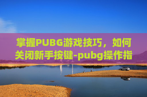 掌握PUBG游戏技巧，如何关闭新手按键-pubg操作指南怎么关