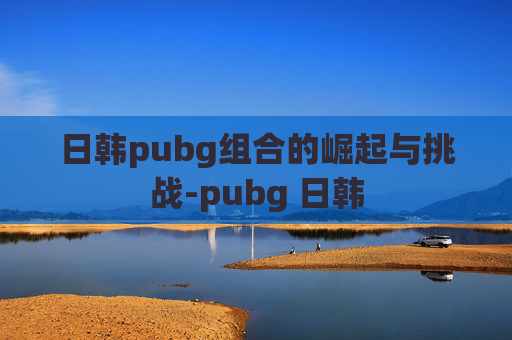日韩pubg组合的崛起与挑战-pubg 日韩