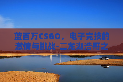 蓝百万CSGO，电子竞技的激情与挑战-二龙湖浩哥之霸道总裁蓝百万