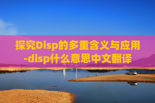 探究Disp的多重含义与应用-disp什么意思中文翻译