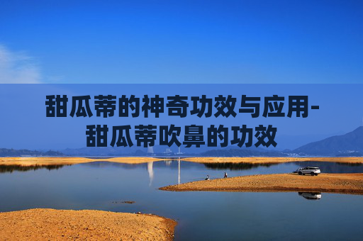 甜瓜蒂的神奇功效与应用-甜瓜蒂吹鼻的功效