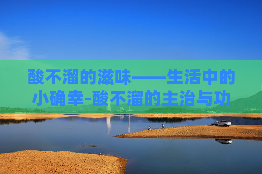 酸不溜的滋味——生活中的小确幸-酸不溜的主治与功效
