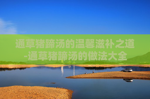 通草猪蹄汤的温馨滋补之道-通草猪蹄汤的做法大全