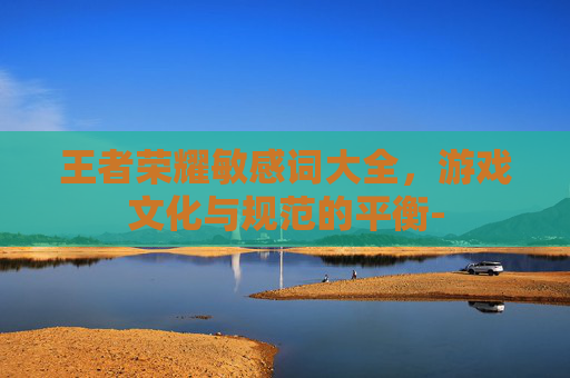 王者荣耀敏感词大全，游戏文化与规范的平衡-