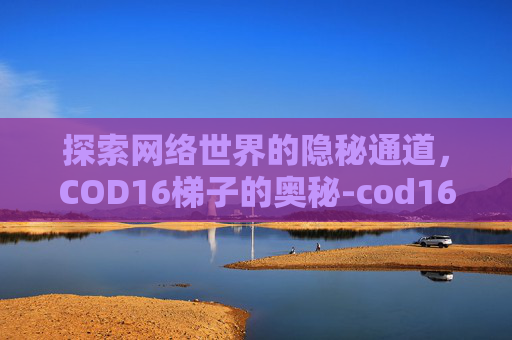 探索网络世界的隐秘通道，COD16梯子的奥秘-cod16怎么下楼梯