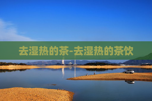 去湿热的茶-去湿热的茶饮