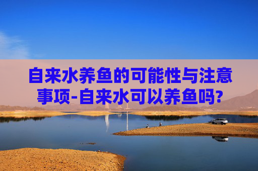 自来水养鱼的可能性与注意事项-自来水可以养鱼吗?
