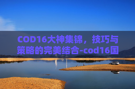 COD16大神集锦，技巧与策略的完美结合-cod16国外大神