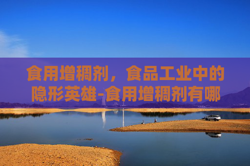 食用增稠剂，食品工业中的隐形英雄-食用增稠剂有哪些