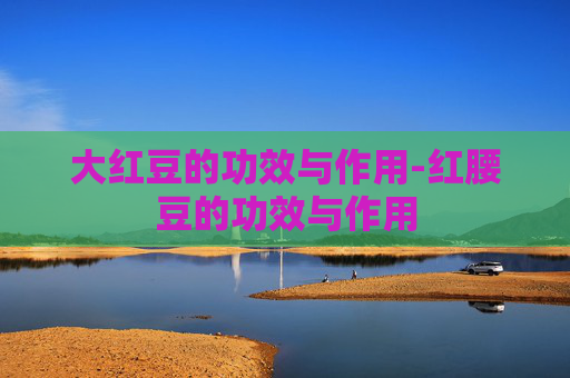 大红豆的功效与作用-红腰豆的功效与作用