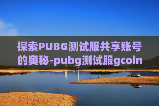 探索PUBG测试服共享账号的奥秘-pubg测试服gcoin