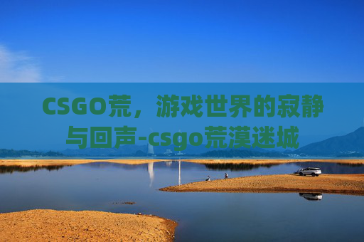 CSGO荒，游戏世界的寂静与回声-csgo荒漠迷城